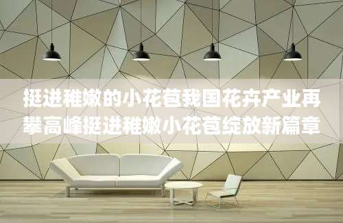 挺进稚嫩的小花苞我国花卉产业再攀高峰挺进稚嫩小花苞绽放新篇章