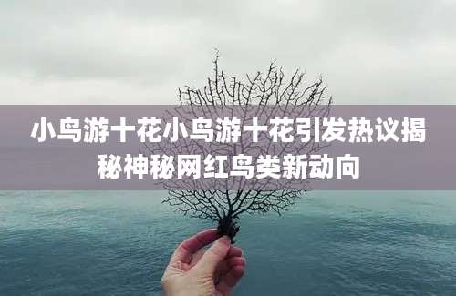 小鸟游十花小鸟游十花引发热议揭秘神秘网红鸟类新动向