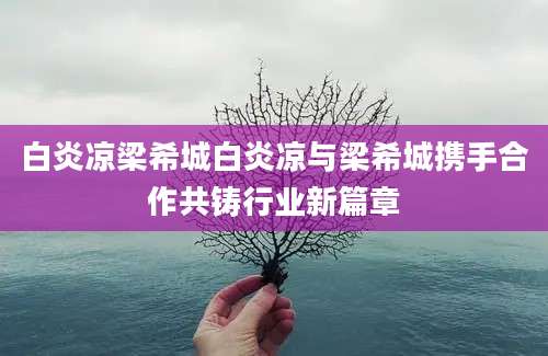 白炎凉梁希城白炎凉与梁希城携手合作共铸行业新篇章