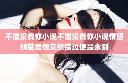 不能没有你小说不能没有你小说情感纠葛爱恨交织错过便是永别