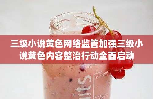 三级小说黄色网络监管加强三级小说黄色内容整治行动全面启动