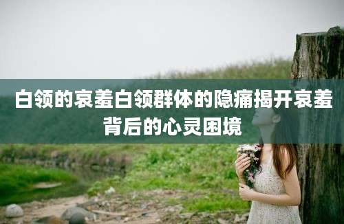 白领的哀羞白领群体的隐痛揭开哀羞背后的心灵困境