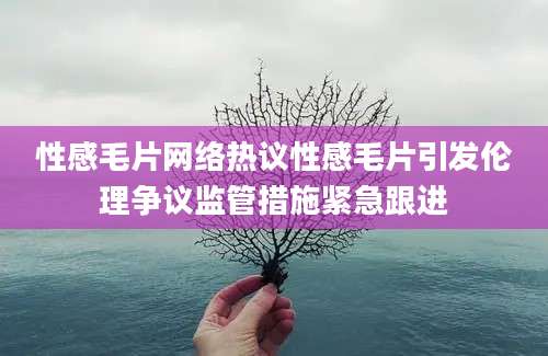 性感毛片网络热议性感毛片引发伦理争议监管措施紧急跟进