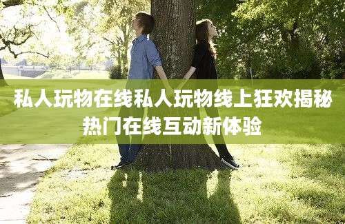 私人玩物在线私人玩物线上狂欢揭秘热门在线互动新体验