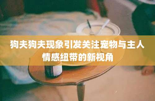 狗夫狗夫现象引发关注宠物与主人情感纽带的新视角