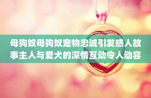 母狗奴母狗奴宠物忠诚引发感人故事主人与爱犬的深情互动令人动容