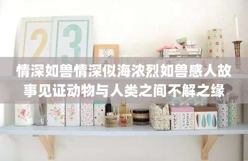 情深如兽情深似海浓烈如兽感人故事见证动物与人类之间不解之缘
