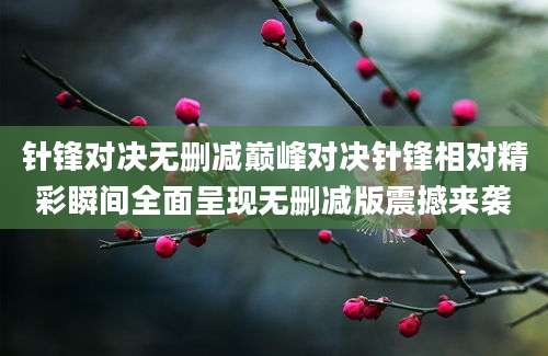 针锋对决无删减巅峰对决针锋相对精彩瞬间全面呈现无删减版震撼来袭