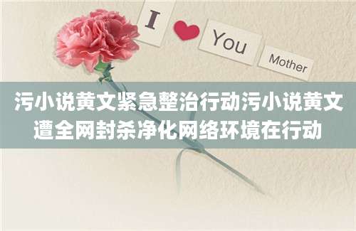 污小说黄文紧急整治行动污小说黄文遭全网封杀净化网络环境在行动