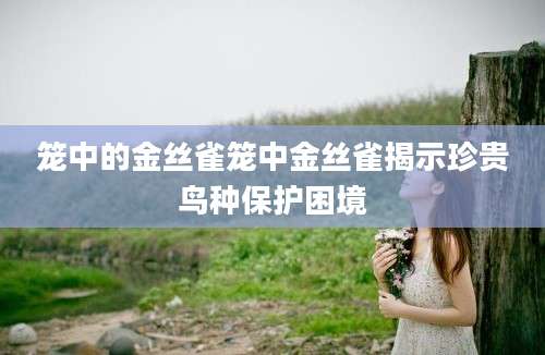笼中的金丝雀笼中金丝雀揭示珍贵鸟种保护困境