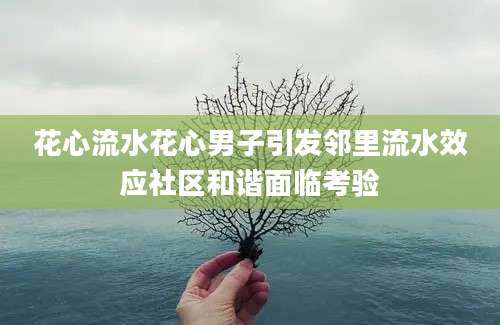花心流水花心男子引发邻里流水效应社区和谐面临考验