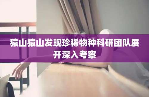 猿山猿山发现珍稀物种科研团队展开深入考察