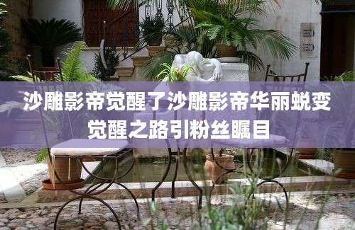 沙雕影帝觉醒了沙雕影帝华丽蜕变觉醒之路引粉丝瞩目