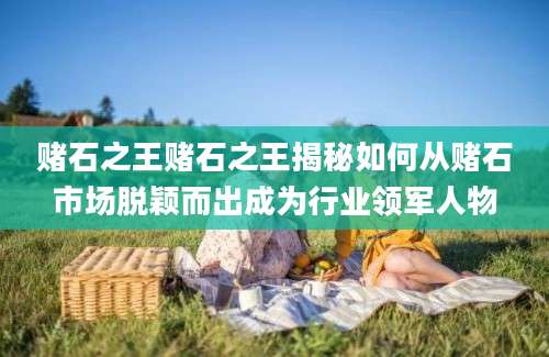 赌石之王赌石之王揭秘如何从赌石市场脱颖而出成为行业领军人物