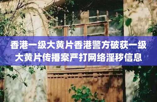 香港一级大黄片香港警方破获一级大黄片传播案严打网络淫秽信息