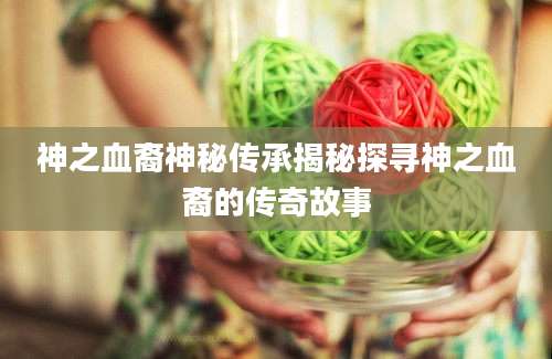 神之血裔神秘传承揭秘探寻神之血裔的传奇故事