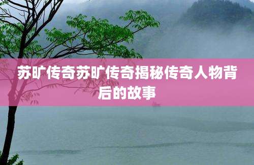 苏旷传奇苏旷传奇揭秘传奇人物背后的故事