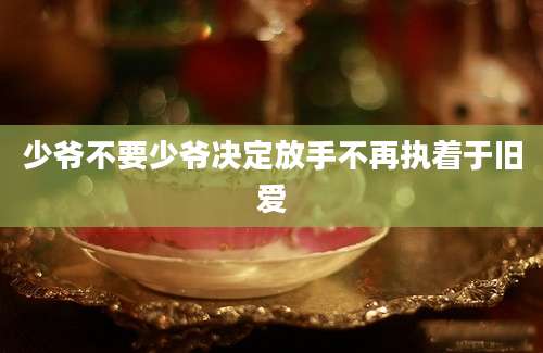 少爷不要少爷决定放手不再执着于旧爱