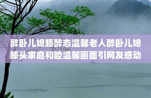 醉卧儿媳膝醉态温馨老人醉卧儿媳膝头家庭和睦温馨画面引网友感动