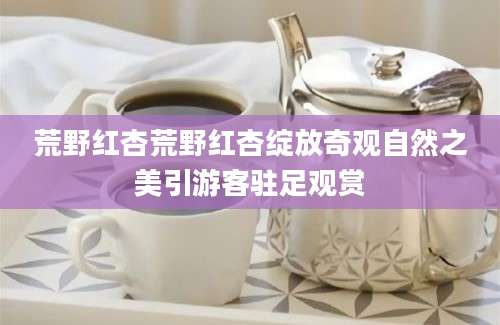 荒野红杏荒野红杏绽放奇观自然之美引游客驻足观赏