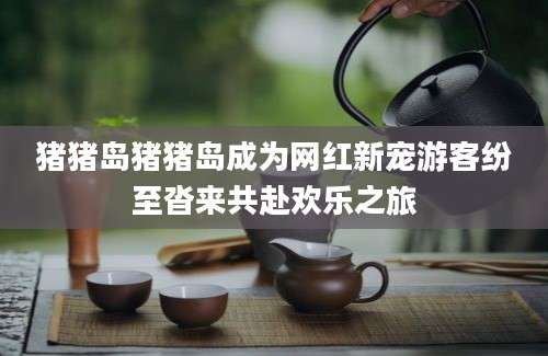 猪猪岛猪猪岛成为网红新宠游客纷至沓来共赴欢乐之旅