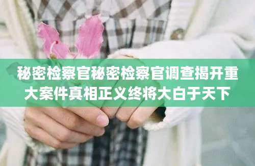 秘密检察官秘密检察官调查揭开重大案件真相正义终将大白于天下