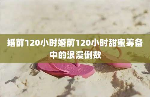 婚前120小时婚前120小时甜蜜筹备中的浪漫倒数