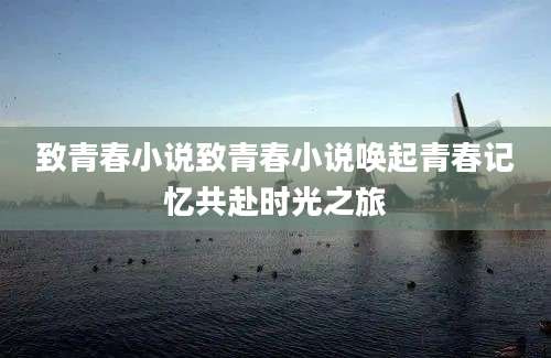 致青春小说致青春小说唤起青春记忆共赴时光之旅