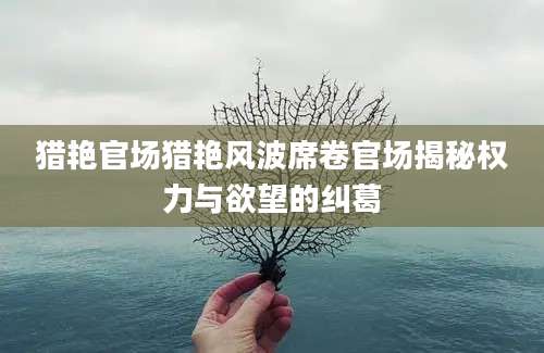 猎艳官场猎艳风波席卷官场揭秘权力与欲望的纠葛