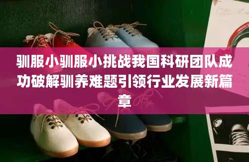 驯服小驯服小挑战我国科研团队成功破解驯养难题引领行业发展新篇章
