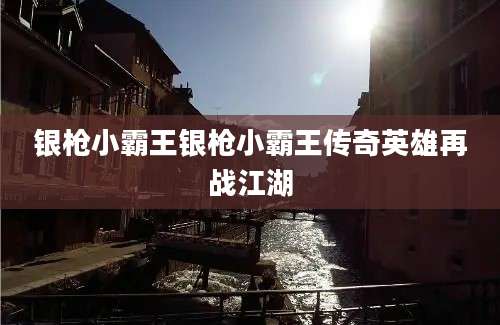 银枪小霸王银枪小霸王传奇英雄再战江湖