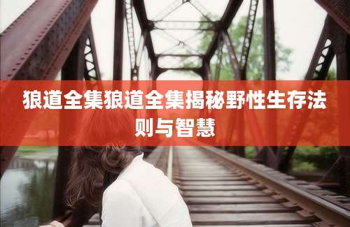 狼道全集狼道全集揭秘野性生存法则与智慧