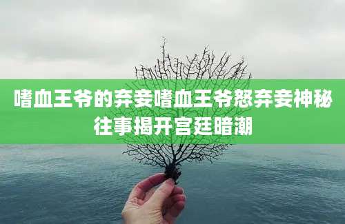 嗜血王爷的弃妾嗜血王爷怒弃妾神秘往事揭开宫廷暗潮