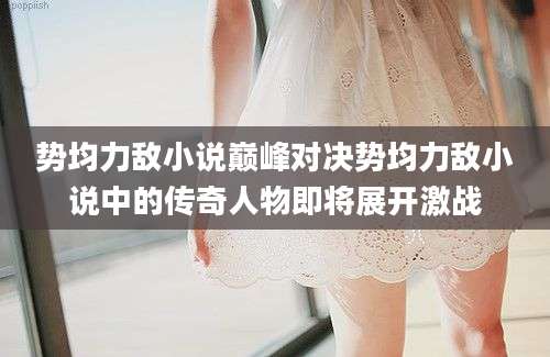 势均力敌小说巅峰对决势均力敌小说中的传奇人物即将展开激战
