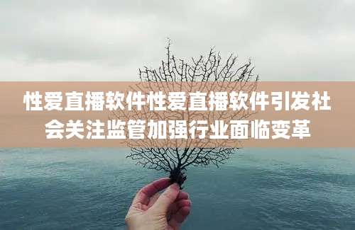 性爱直播软件性爱直播软件引发社会关注监管加强行业面临变革