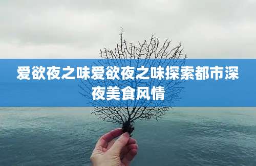 爱欲夜之味爱欲夜之味探索都市深夜美食风情