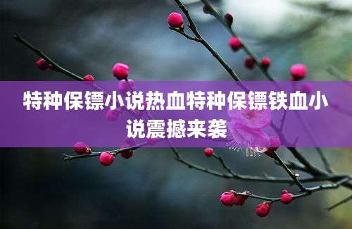 特种保镖小说热血特种保镖铁血小说震撼来袭