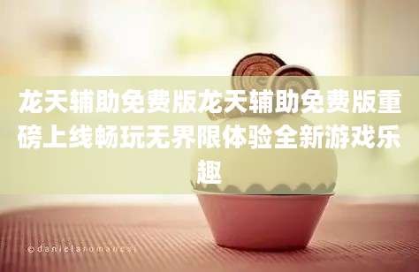 龙天辅助免费版龙天辅助免费版重磅上线畅玩无界限体验全新游戏乐趣