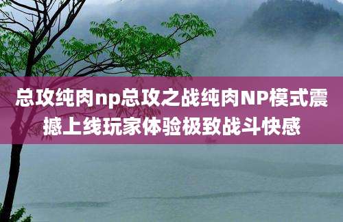总攻纯肉np总攻之战纯肉NP模式震撼上线玩家体验极致战斗快感