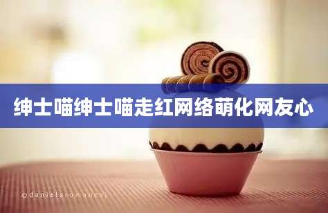 绅士喵绅士喵走红网络萌化网友心