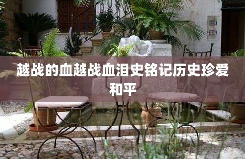 越战的血越战血泪史铭记历史珍爱和平