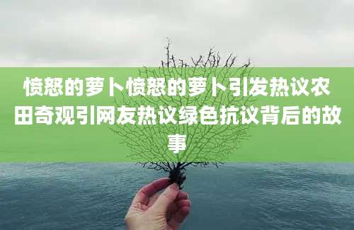 愤怒的萝卜愤怒的萝卜引发热议农田奇观引网友热议绿色抗议背后的故事