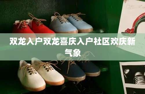 双龙入户双龙喜庆入户社区欢庆新气象