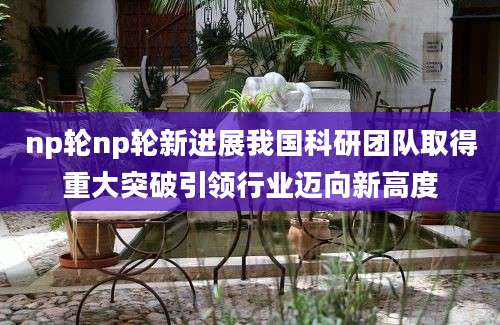 np轮np轮新进展我国科研团队取得重大突破引领行业迈向新高度