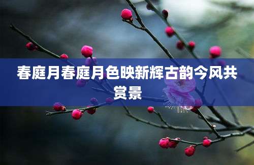 春庭月春庭月色映新辉古韵今风共赏景