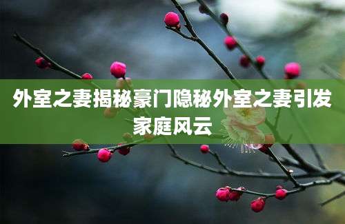外室之妻揭秘豪门隐秘外室之妻引发家庭风云