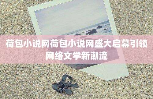 荷包小说网荷包小说网盛大启幕引领网络文学新潮流