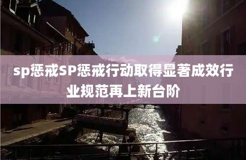sp惩戒SP惩戒行动取得显著成效行业规范再上新台阶