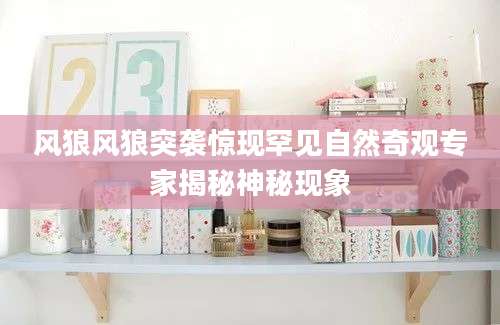 风狼风狼突袭惊现罕见自然奇观专家揭秘神秘现象