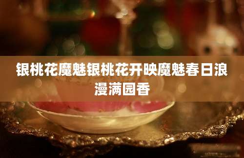 银桃花魔魅银桃花开映魔魅春日浪漫满园香